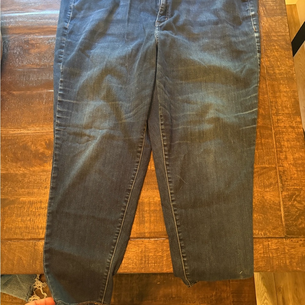 Lane Bryant Deep Indigo Skinny Jeans